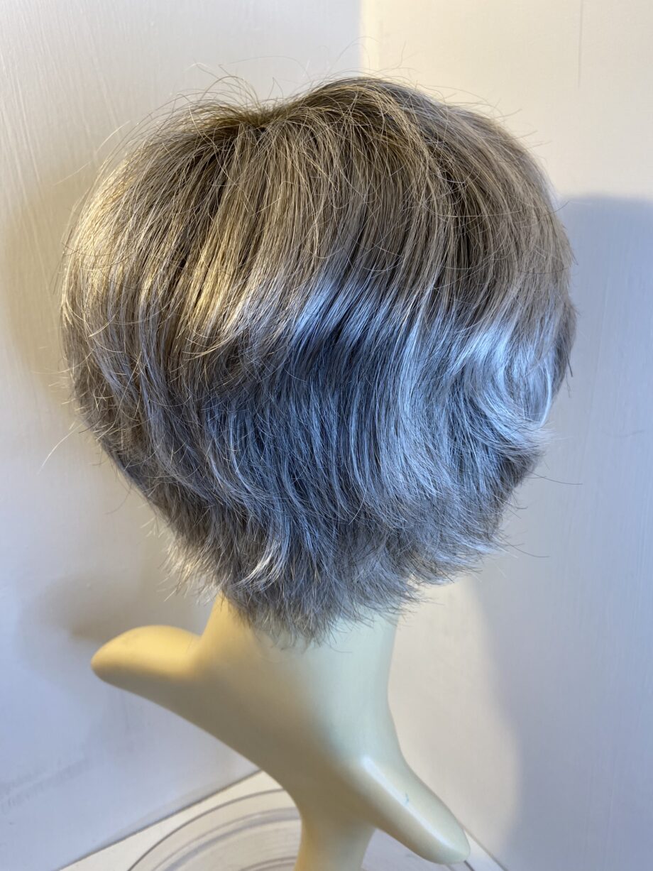 Rooted silver grey. Ellen Wille wig. Gms412