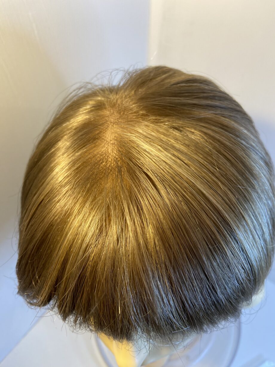 Amore light brown /blonde soft cap  highlighted wig. Blms611