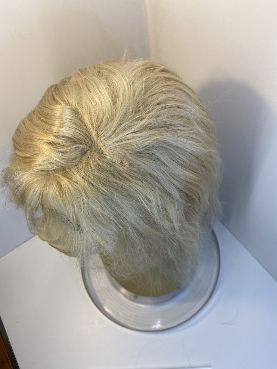 Long light blonde new wig. Bllw906