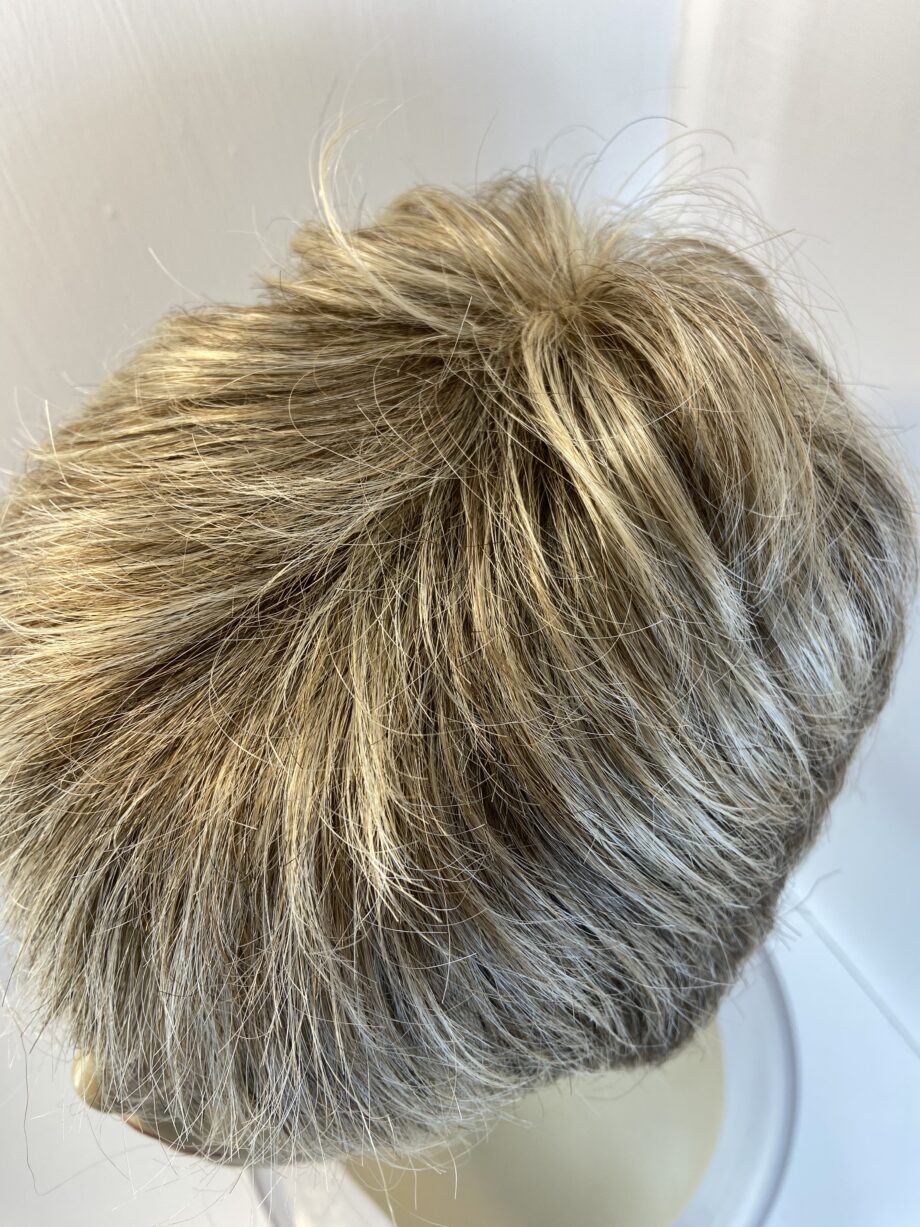 Ash blonde short Ellen Wille collection wig. Blss75