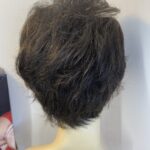 Dynasty by joan collins dark brown wig. Bbrbw380