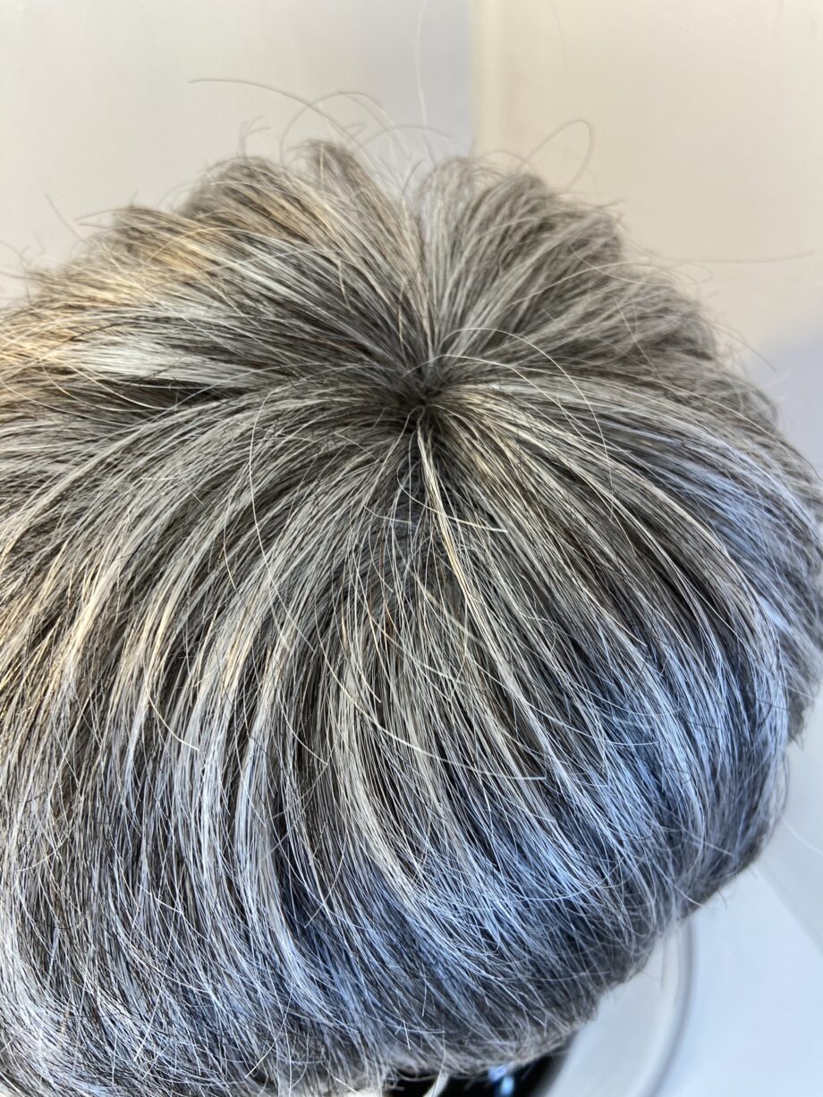 Salt and pepper grey short Ellen Wille wig. Bgss373