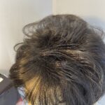 Dynasty by joan collins dark brown wig. Bbrbw380