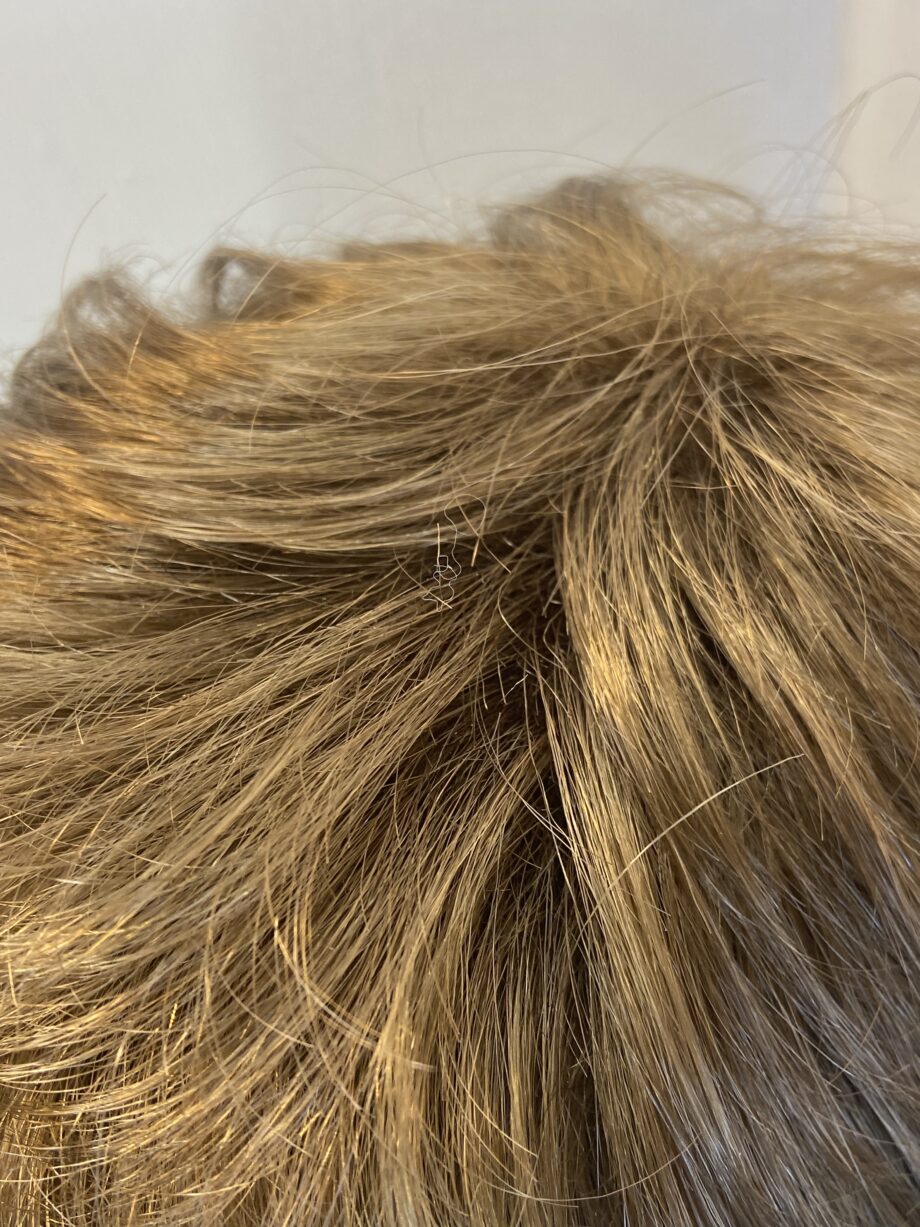 Ginger brown as new wavy short wig. Bbrsw378