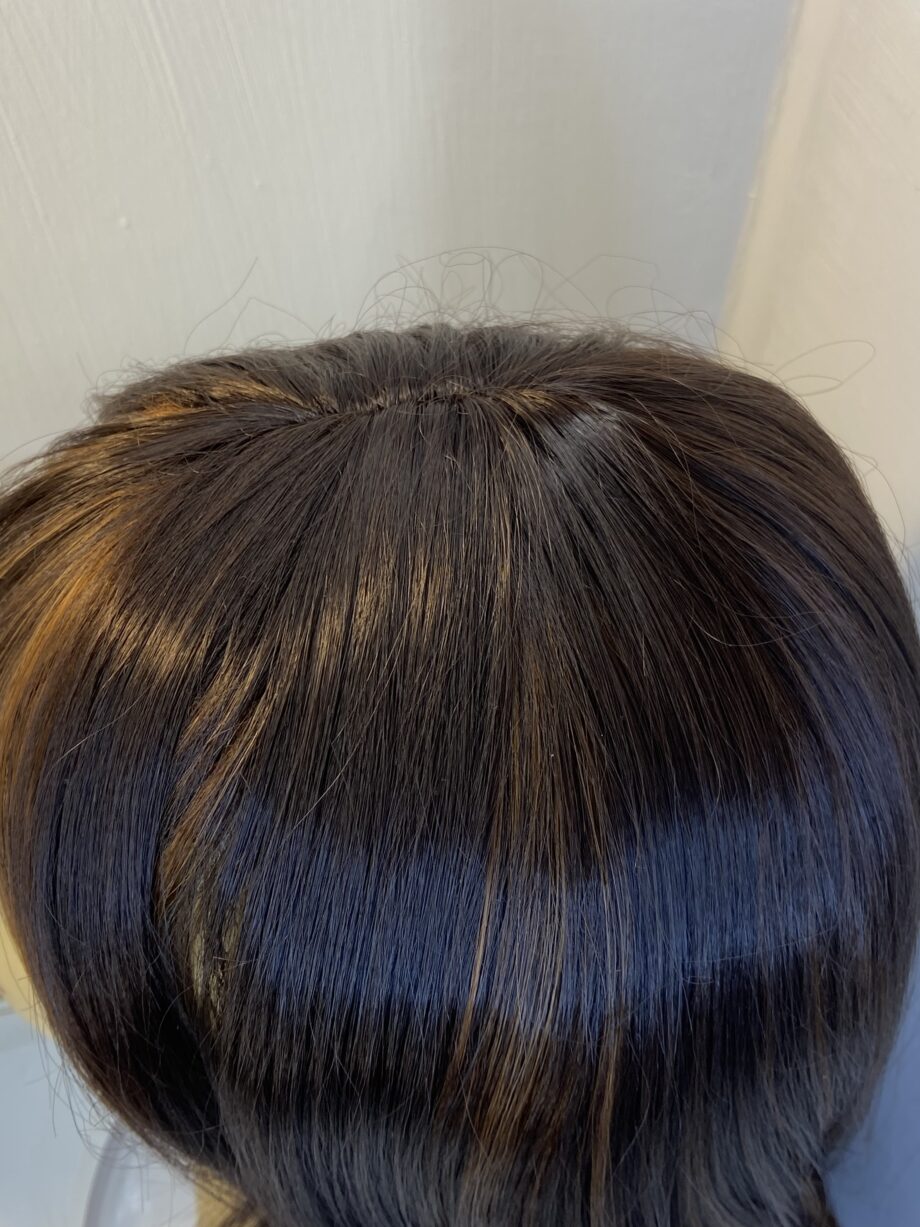 Very long brown highlighted wig. Brls356