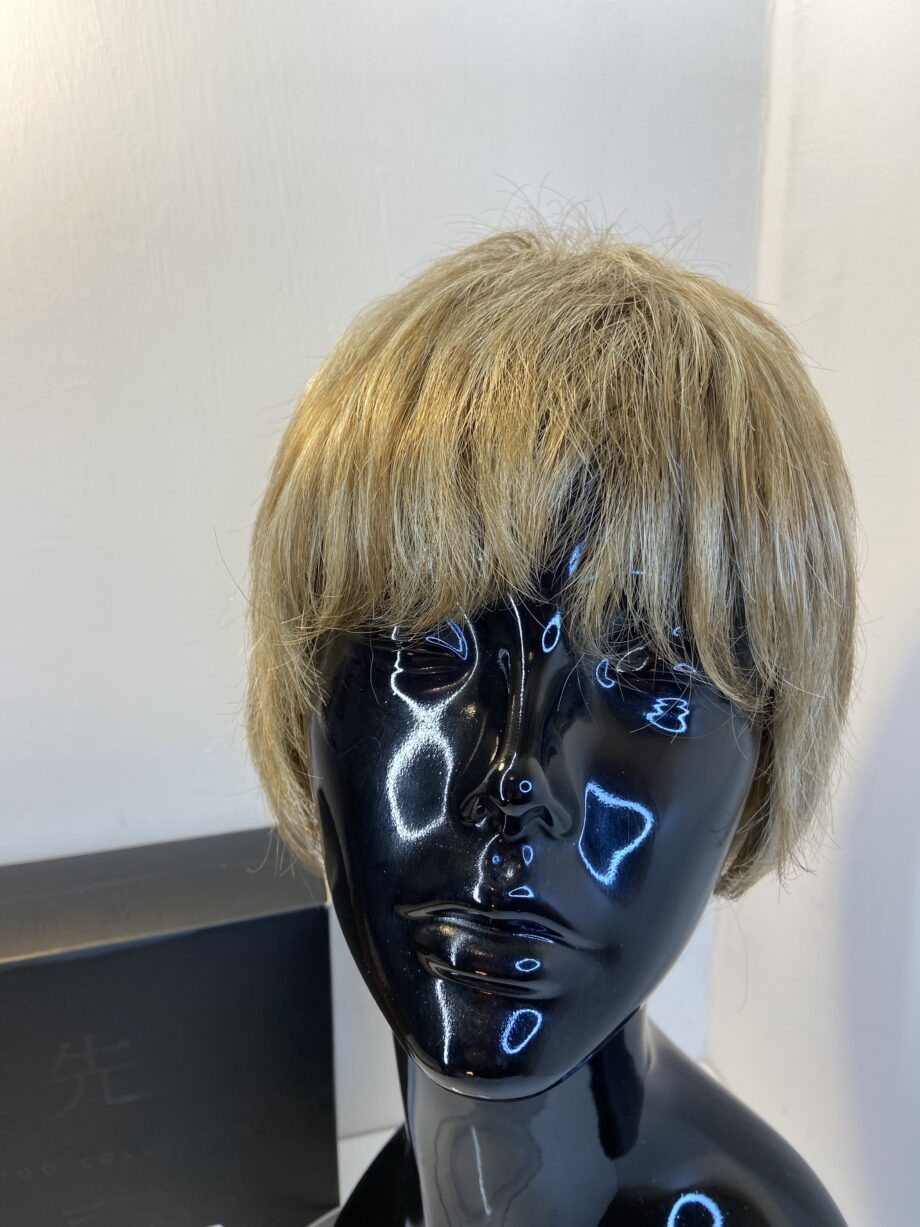 Senatoo collection blonde new wig. Bblss399