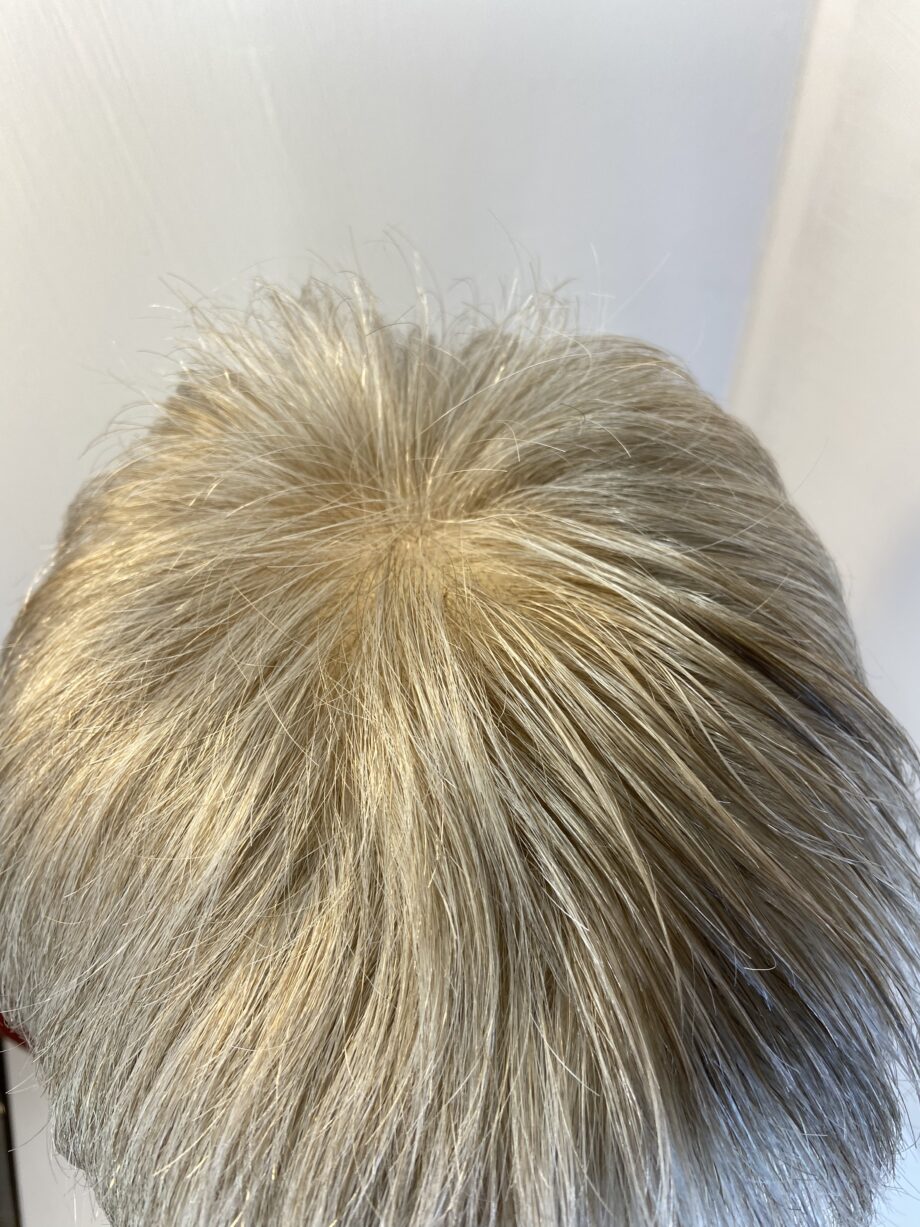 Short grey stylish wig. Rene of Paris. Bgss401