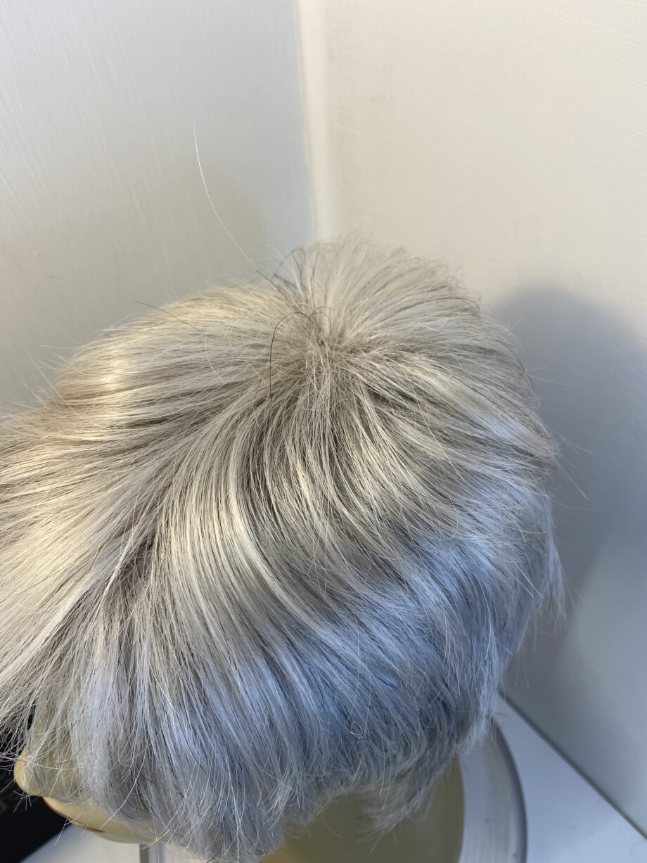Natural image silver grey wig. Bgss408