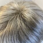 Silver grey short wig. Bgss390