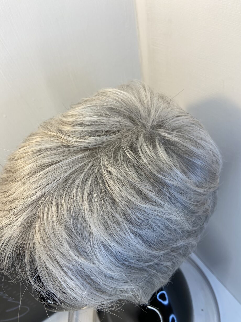 Stylish grey short wig. Bgss402
