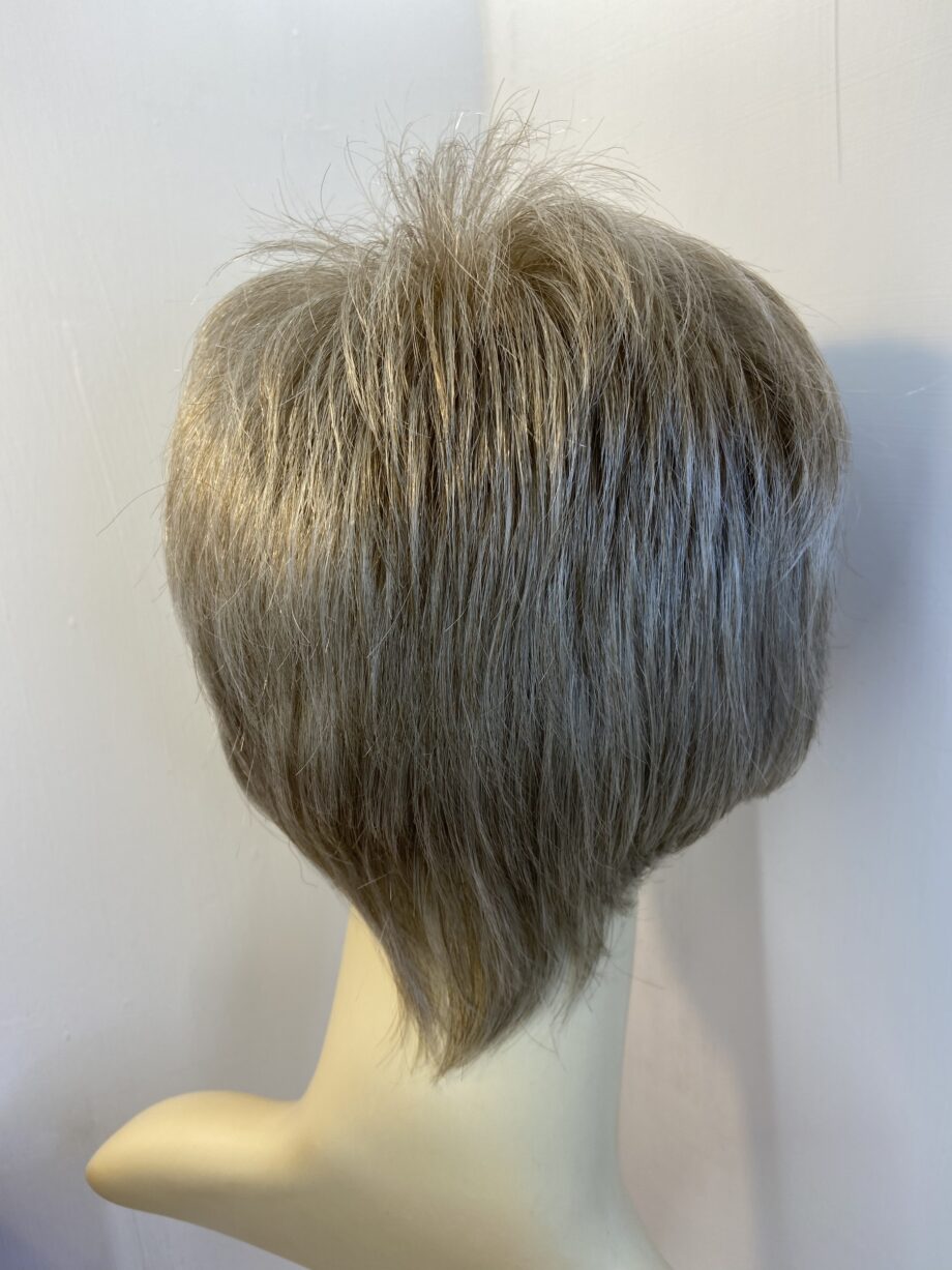 Short grey stylish wig. Rene of Paris. Bgss401