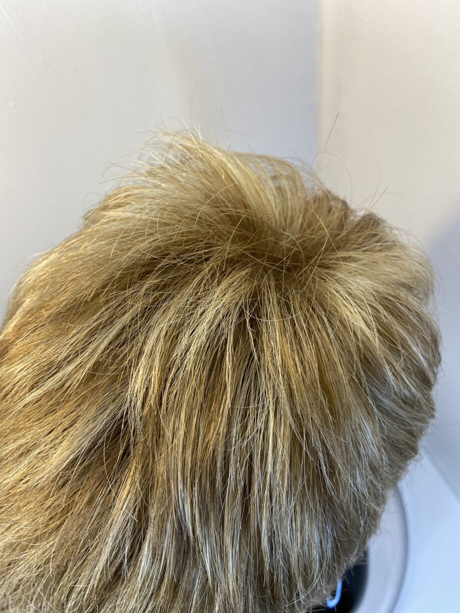 Senatoo collection blonde new wig. Bblss399