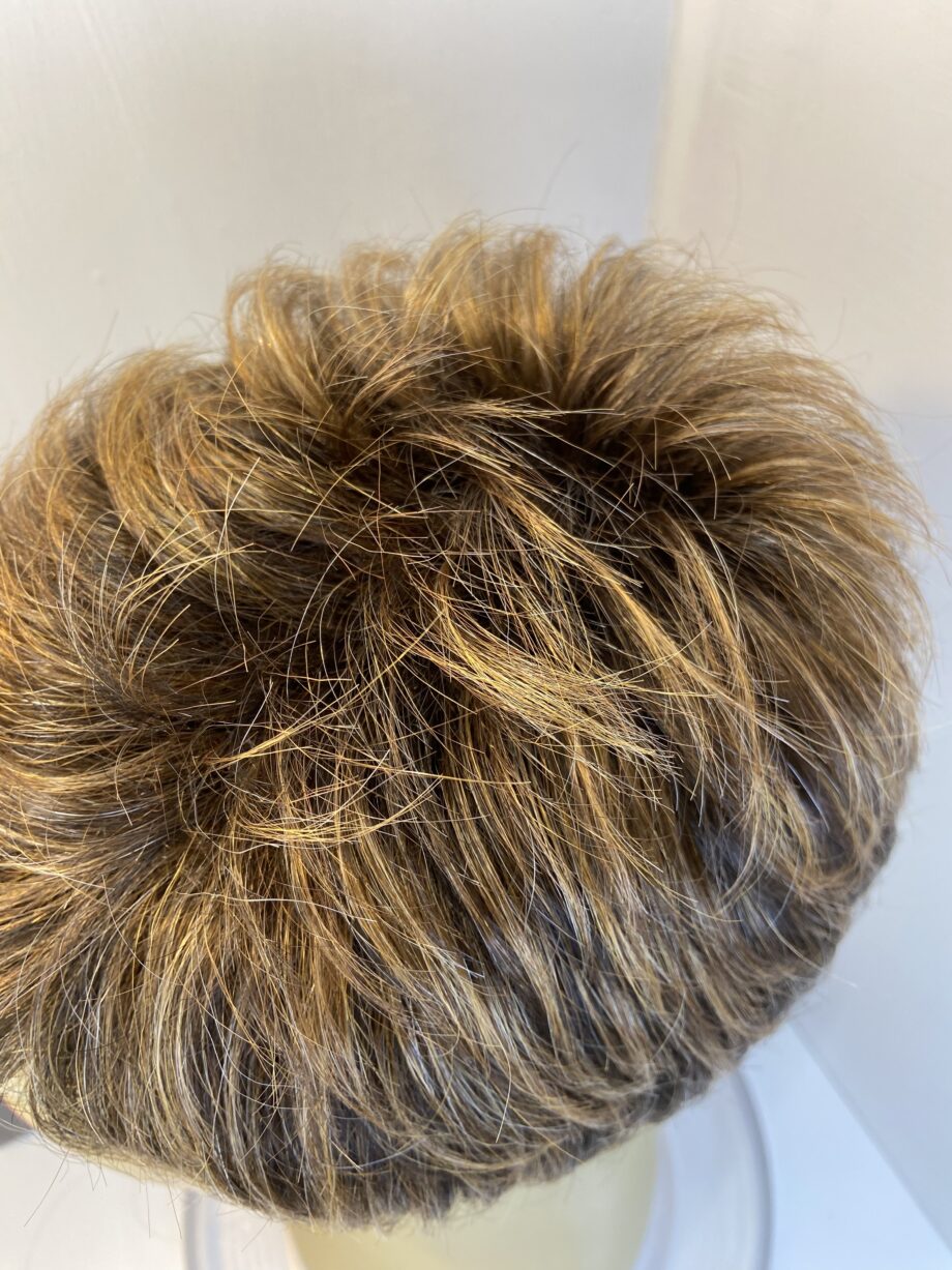 Raquel Welch new glazed hazelnut wig. Bbrss395