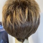 Raquel Welch new glazed hazelnut wig. Bbrss395