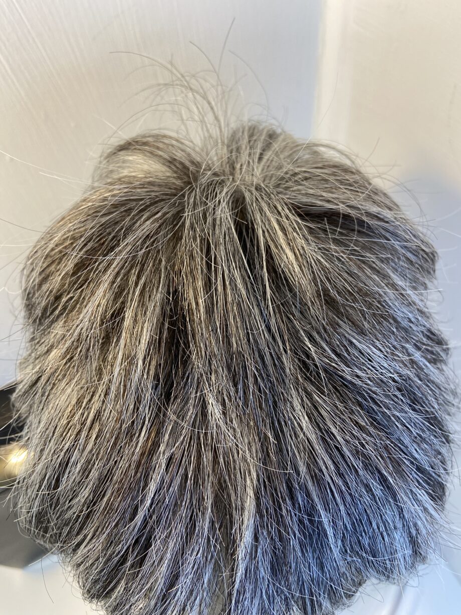 Salt and pepper Ellen Willie wig. Bspss420