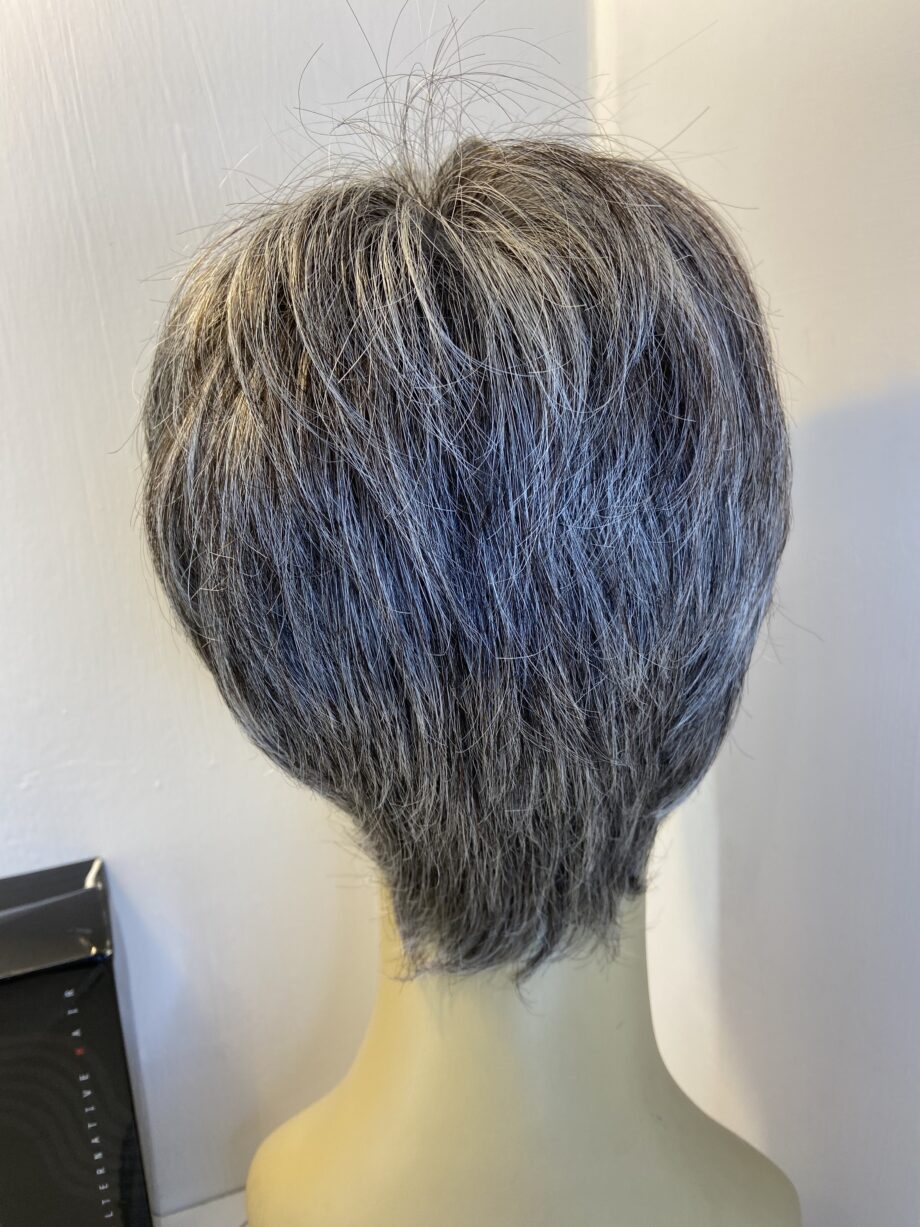Salt and pepper Ellen Willie wig. Bspss420