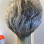Silver grey Ellen Willie new wig. Bbgsw427