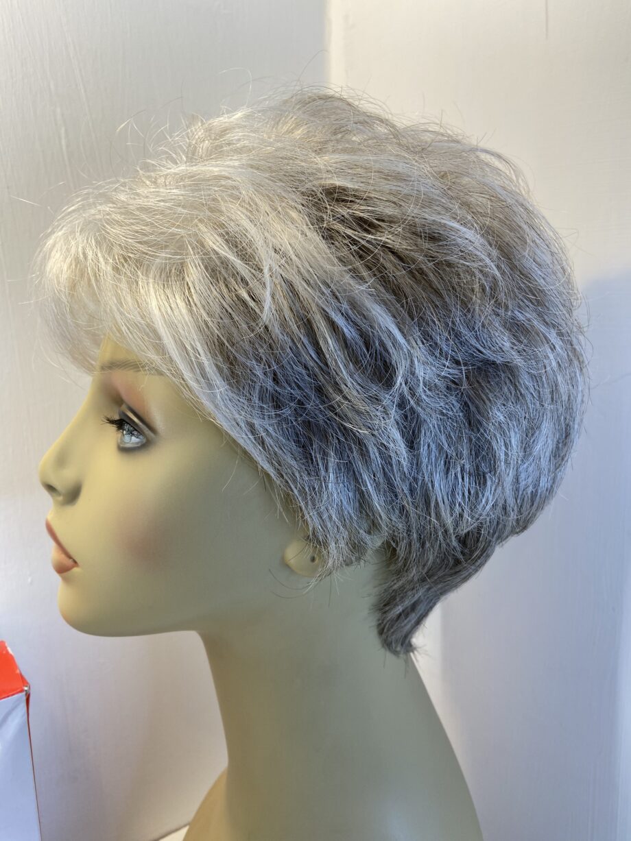 Silver grey Ellen Willie new wig. Bbgsw427