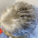 Silver grey Ellen Willie new wig. Bbgsw427