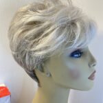 Silver grey Ellen Willie new wig. Bbgsw427