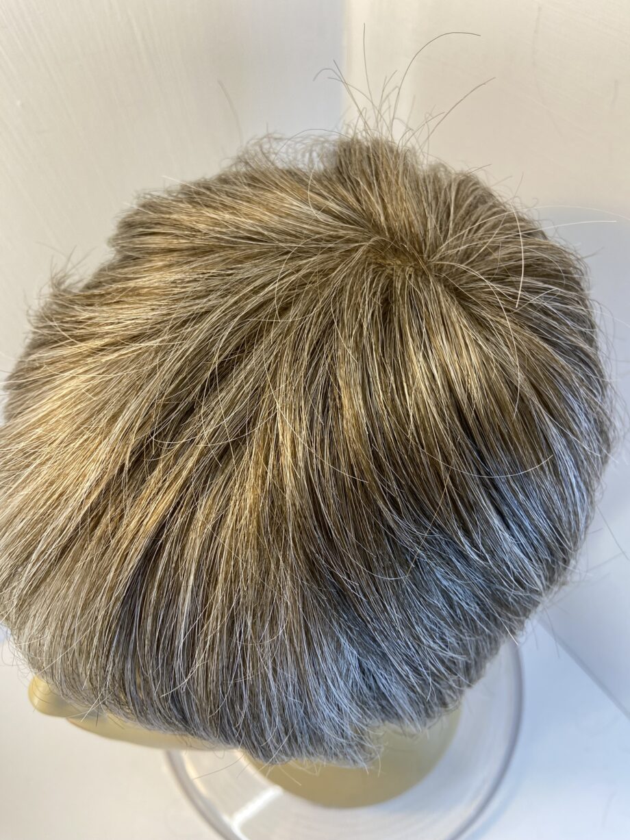 Lotus grey short new wig. Gss421