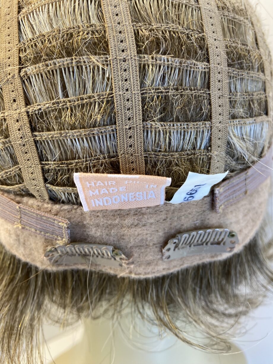 Blonde highlighted short wig. Blss427