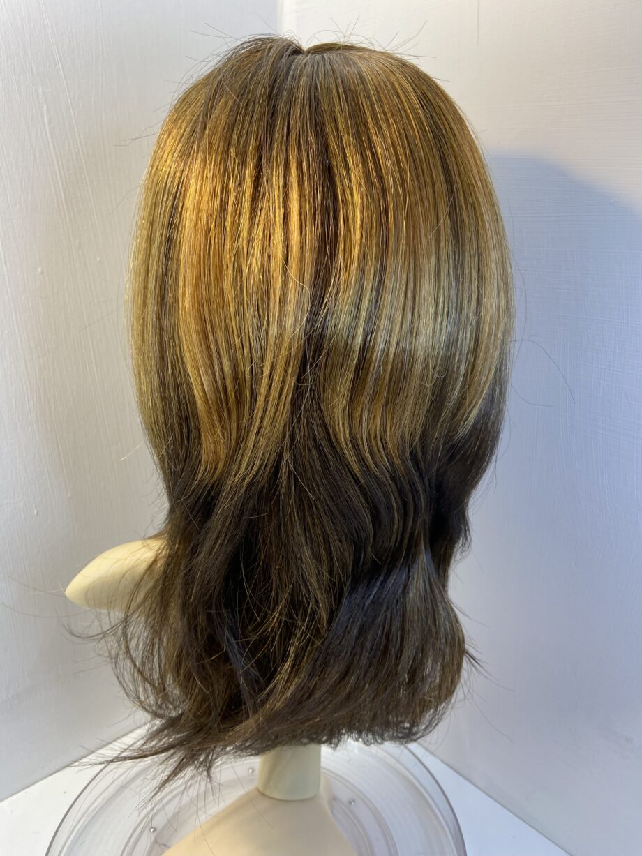 Stunning New long highlighted brown wig. Brls653