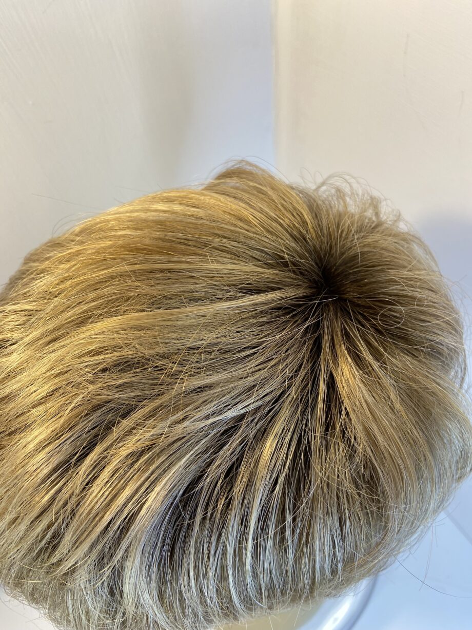 Ellen Wille rooted light brown wig. Bblss432