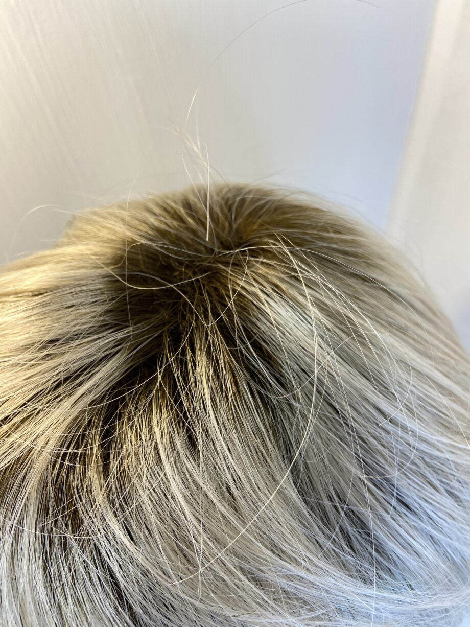 Rooted blonde Ellen Wille wig. Blss591