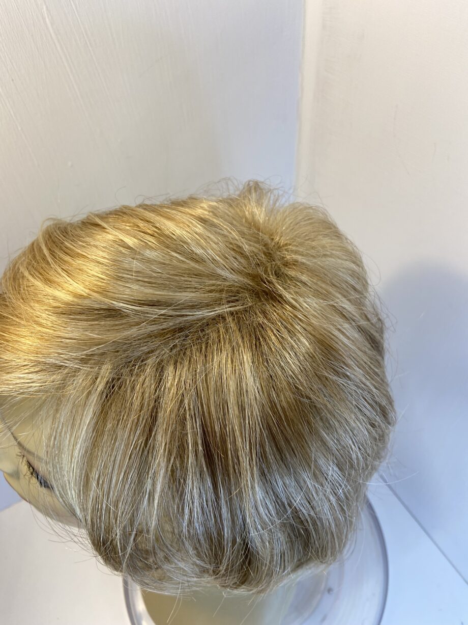 Never worn blonde Paul young wig. Blmw329