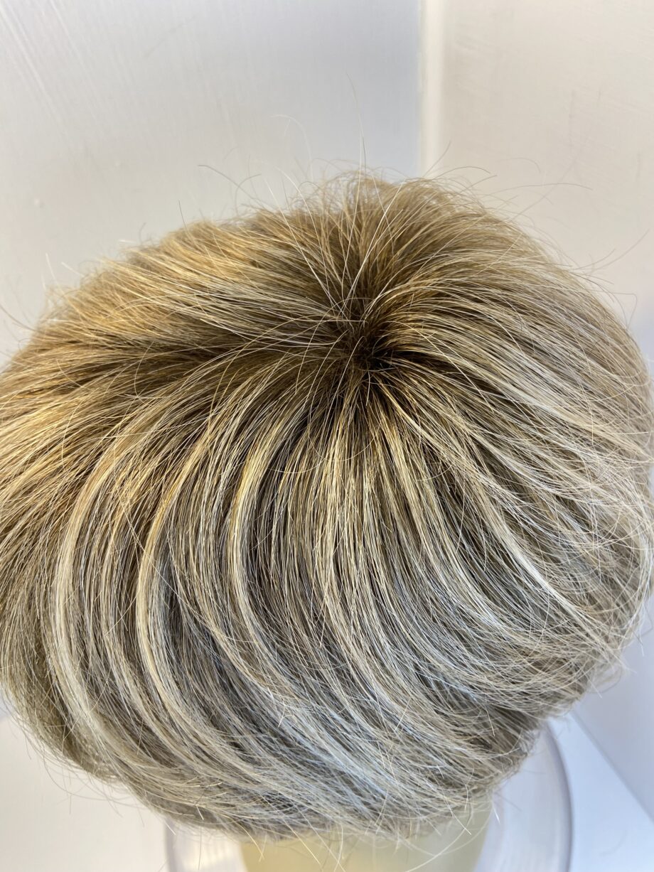 Blonde rooted wig. Blss598