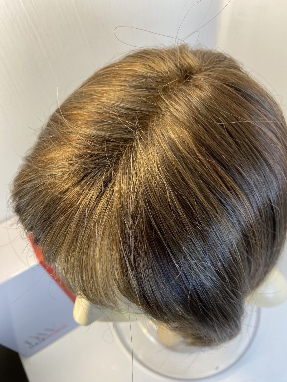 New hair world burnt cinnamon wig. Bbrms446