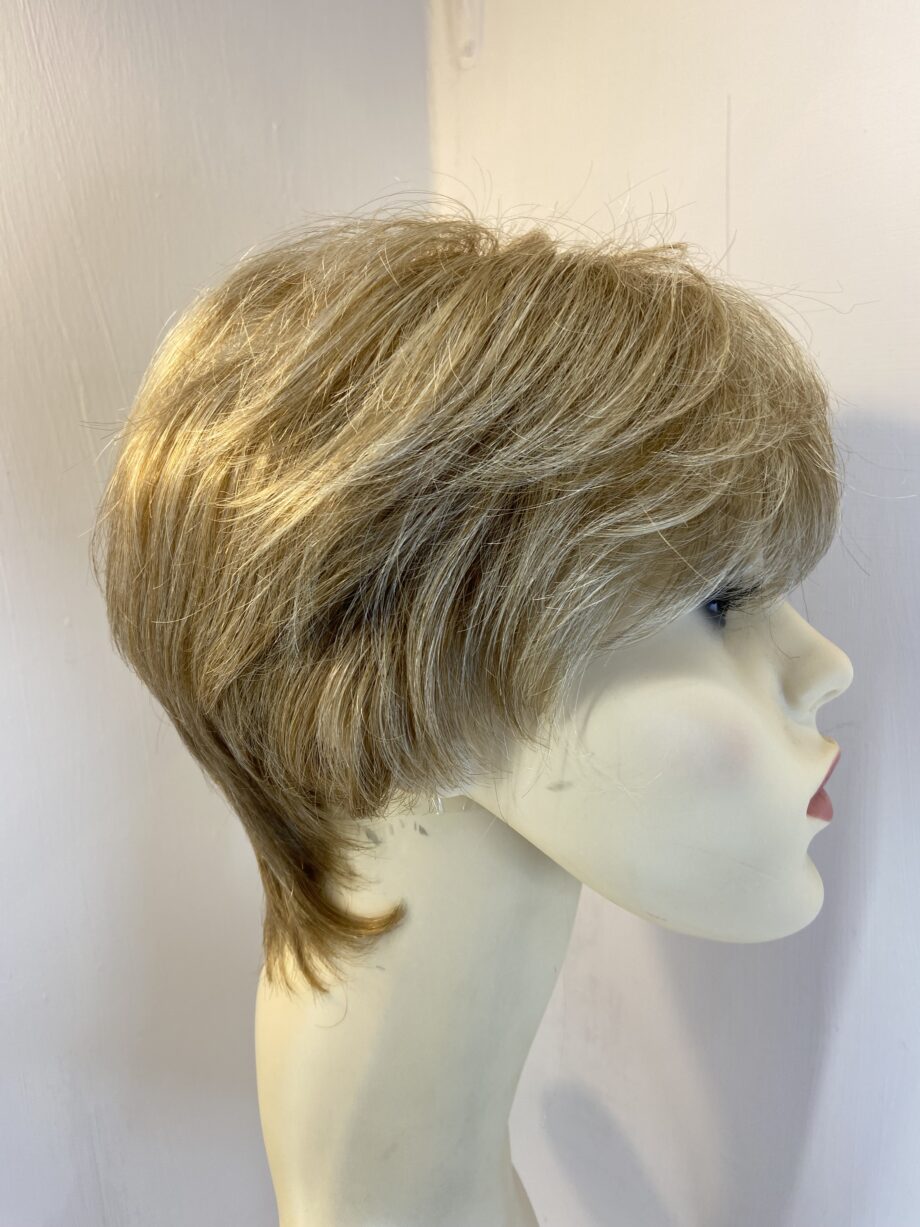 Short blonde natural image wig. Blss25