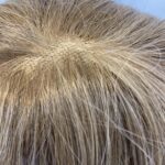 Brown hair piece. Brss730
