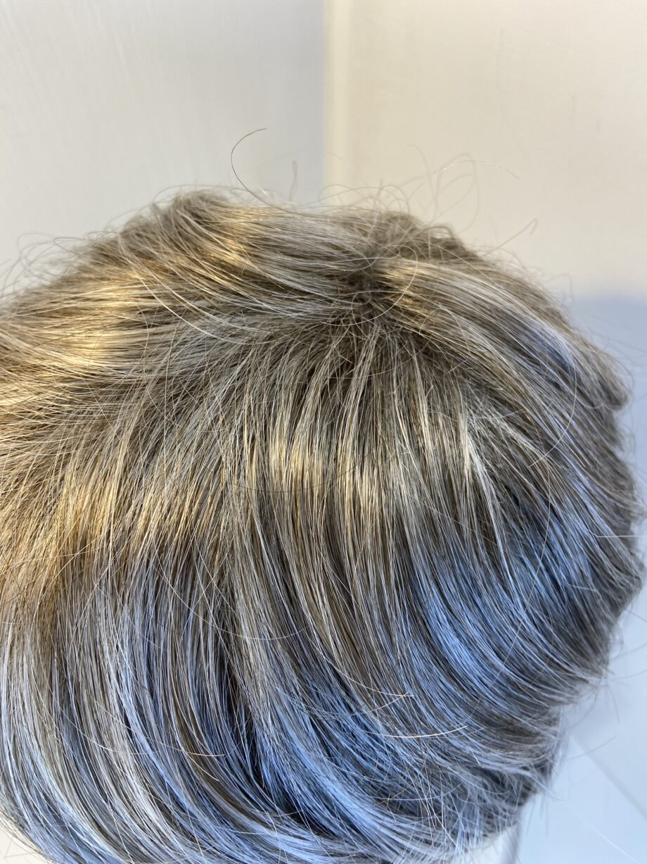 Platinum grey Raoul new wig. Gmw409