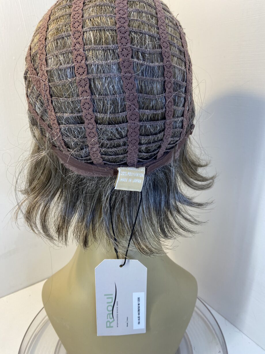Platinum grey Raoul new wig. Gmw409