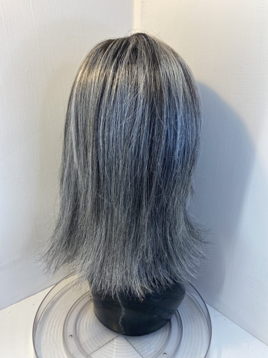 Silver grey long Ellen Wille wig. Gls814