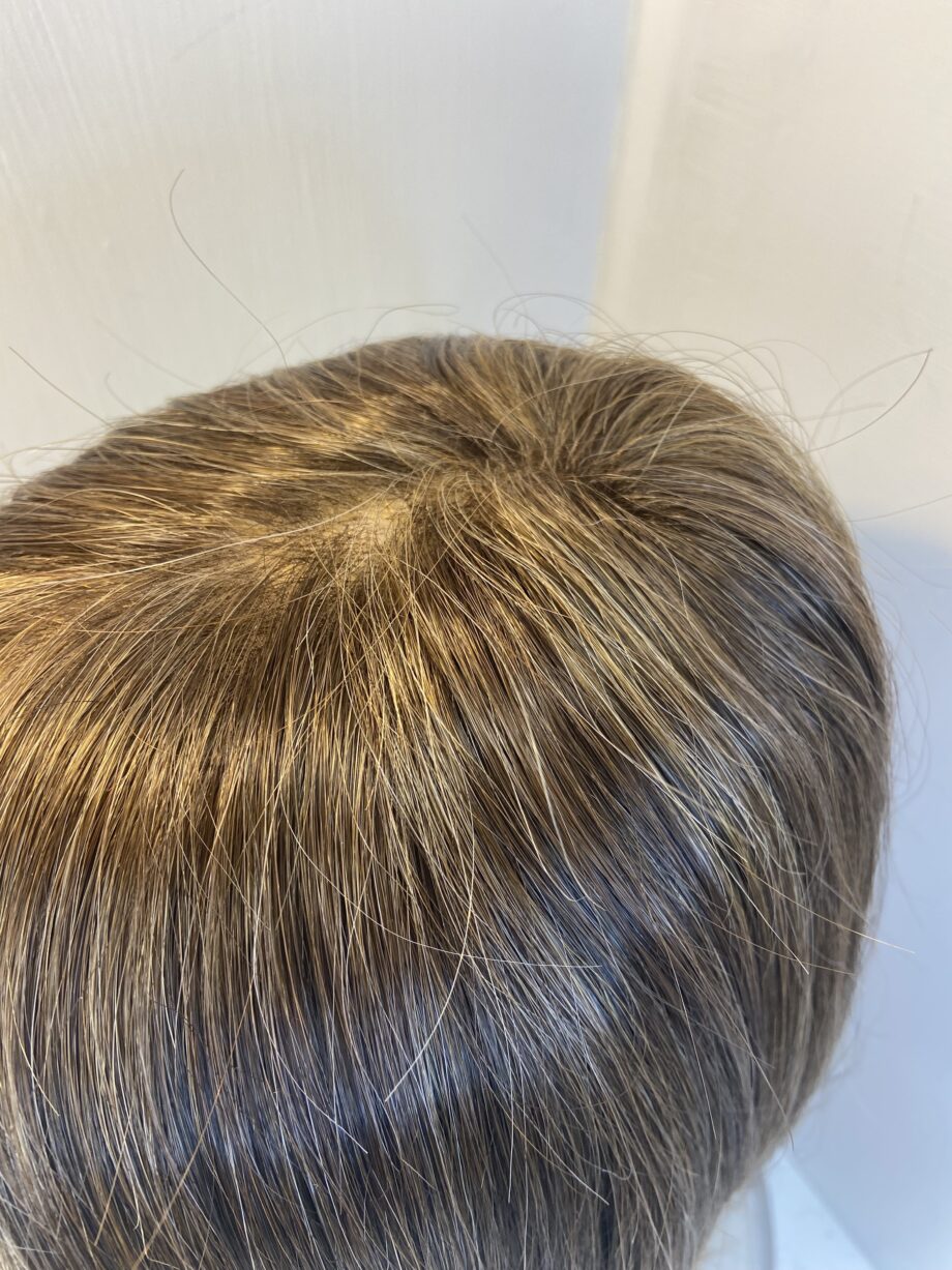 Long brown Ellen Wille soft cap wig. Brls815
