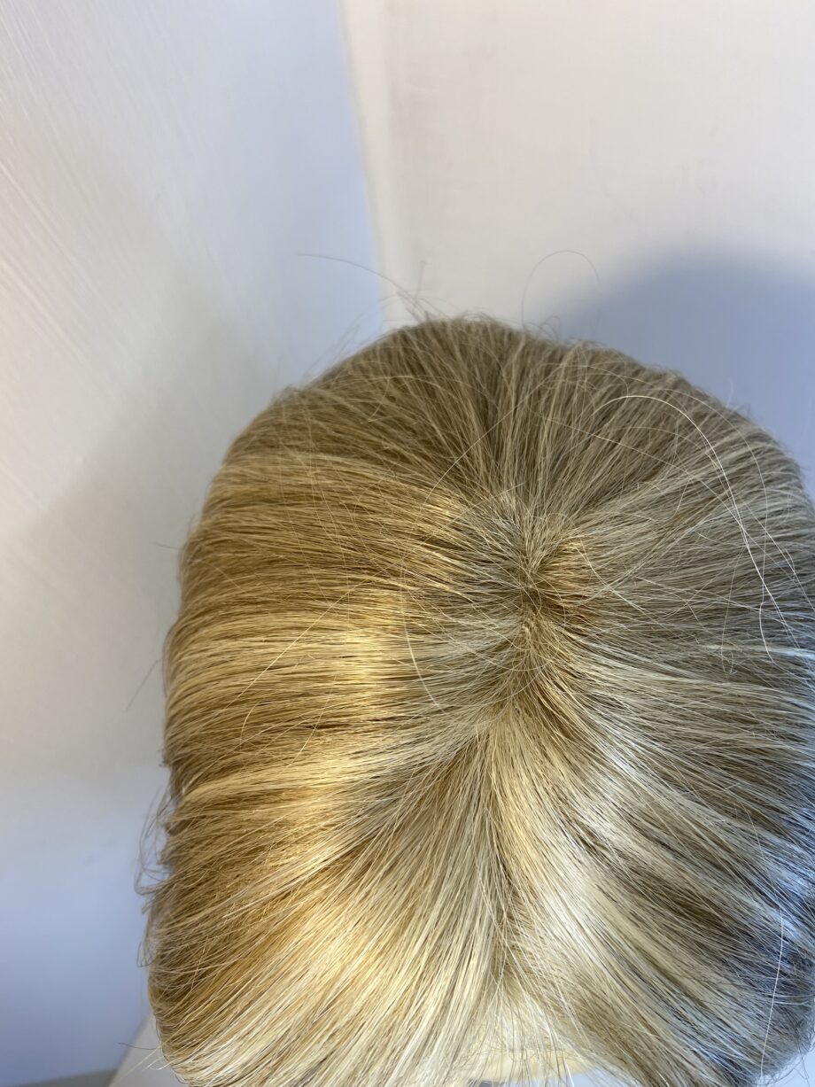 Stylish Long blonde Jon Renau wig. Blls716