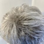 Silver grey short wig. Gss719