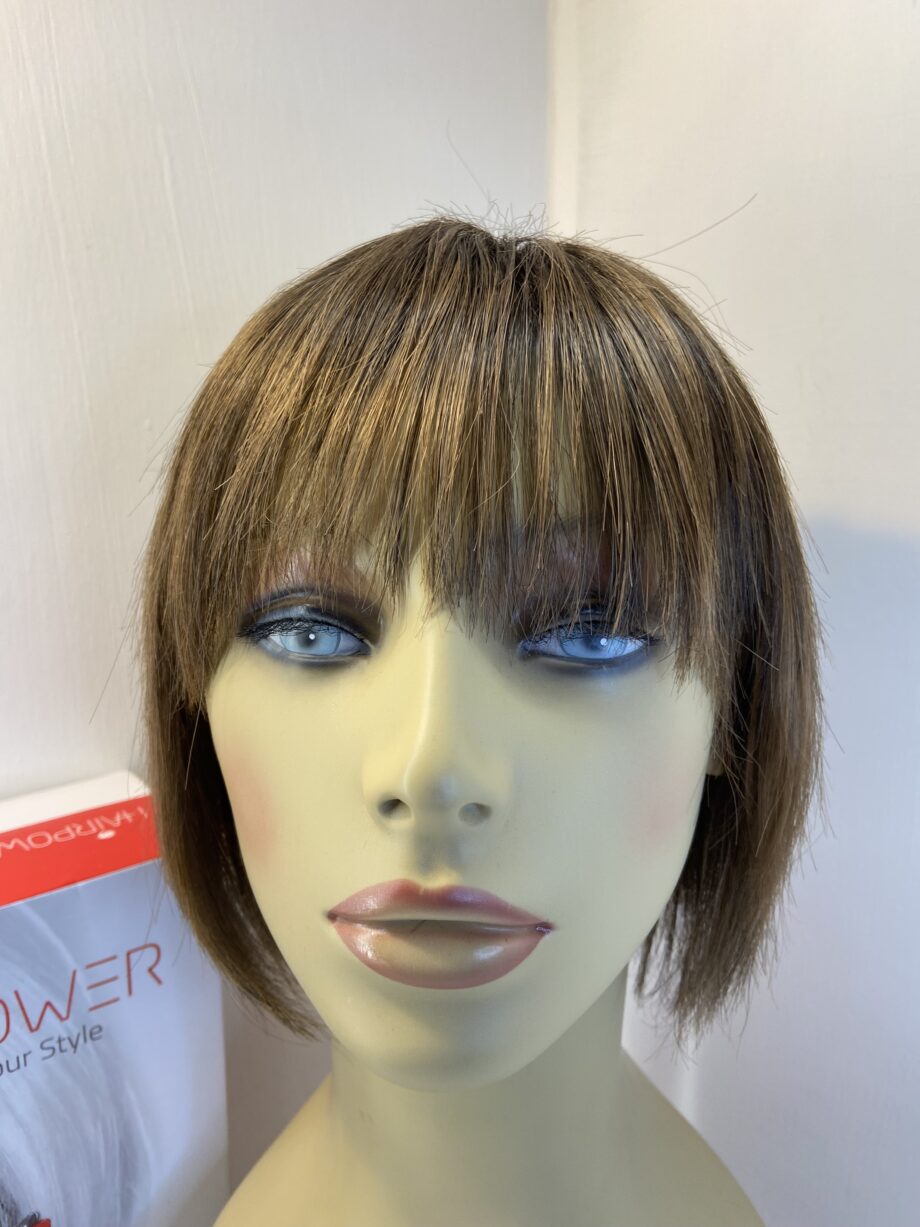Ellen Willie designer boxed wig. brown. Bbrms482