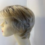 Blonde rooted Ellen Wille wig. Blss605
