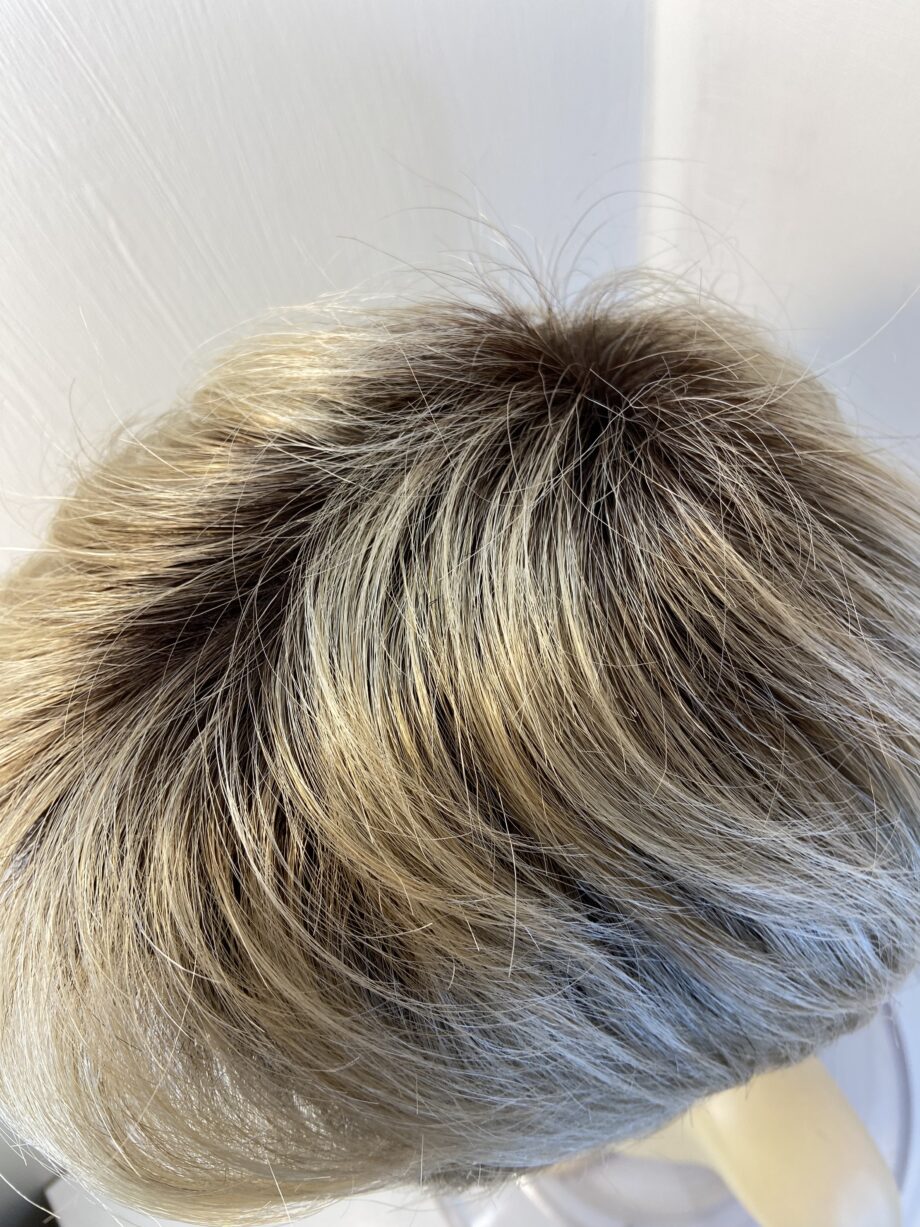 Blonde rooted Ellen Wille wig. Blss605