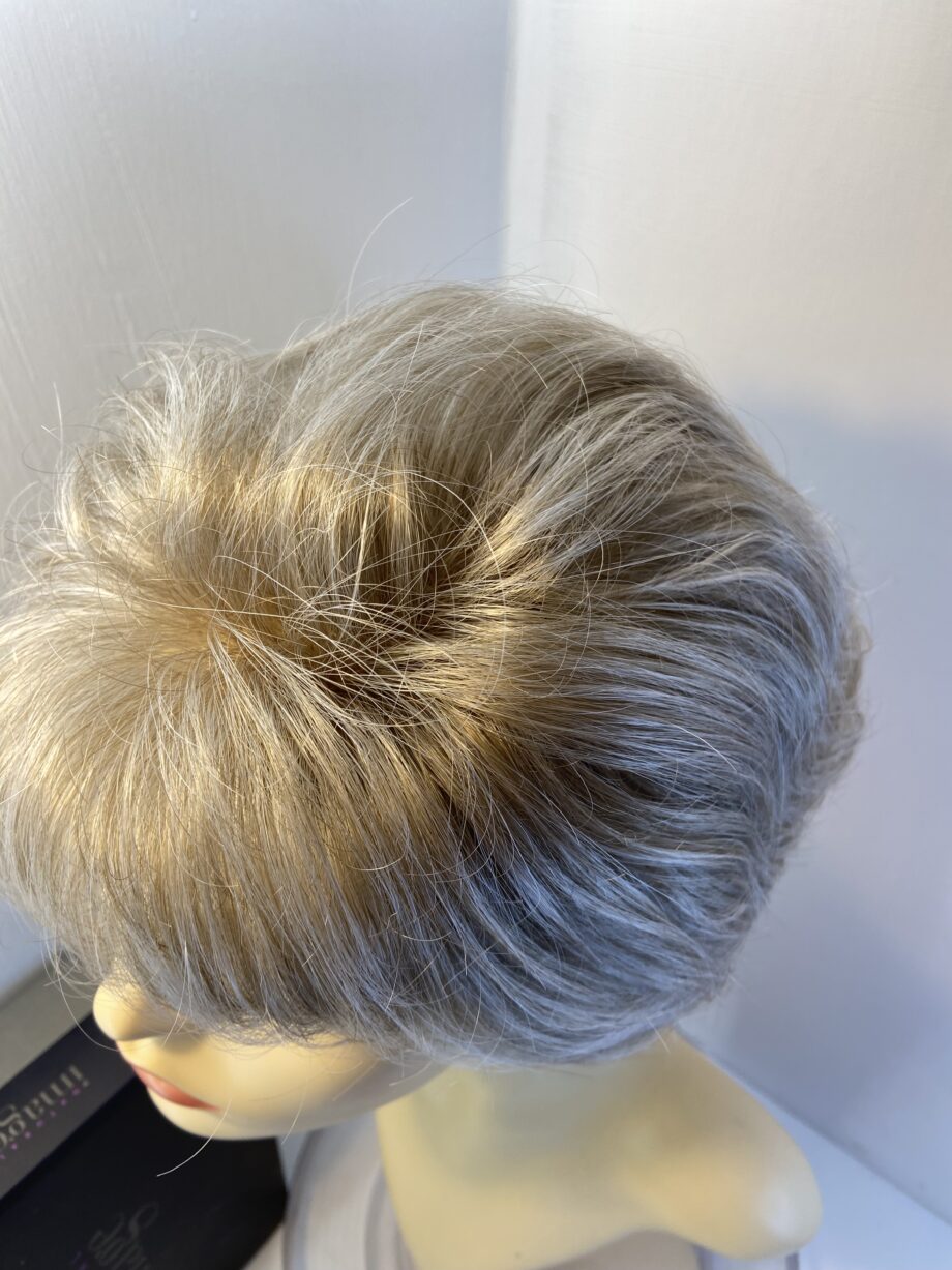 Blonde / grey beautiful natural image wig. Bgsw780