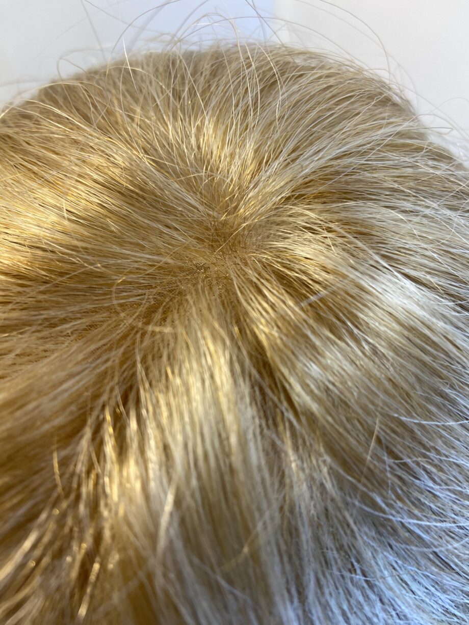 As Rene of Paris blonde wig. Blws43