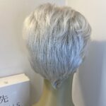 Lotus new silver soft cap wig. Bgss486