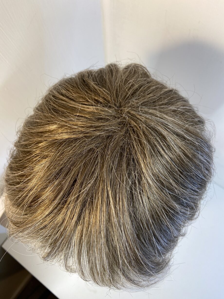 Ash blonde /grey/ silver flash. Bgss494