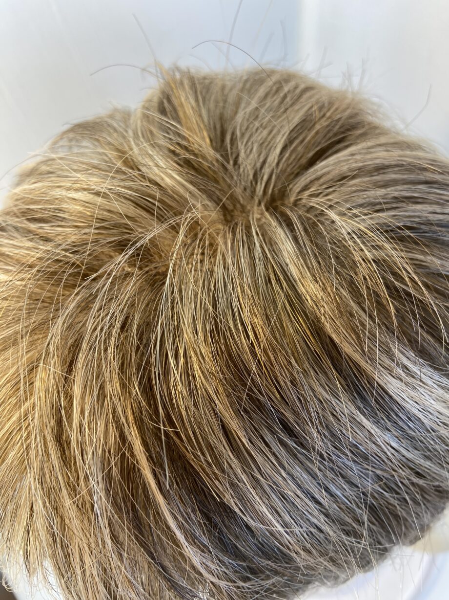 Light brown/ blonde soft cap wig. Blsw314