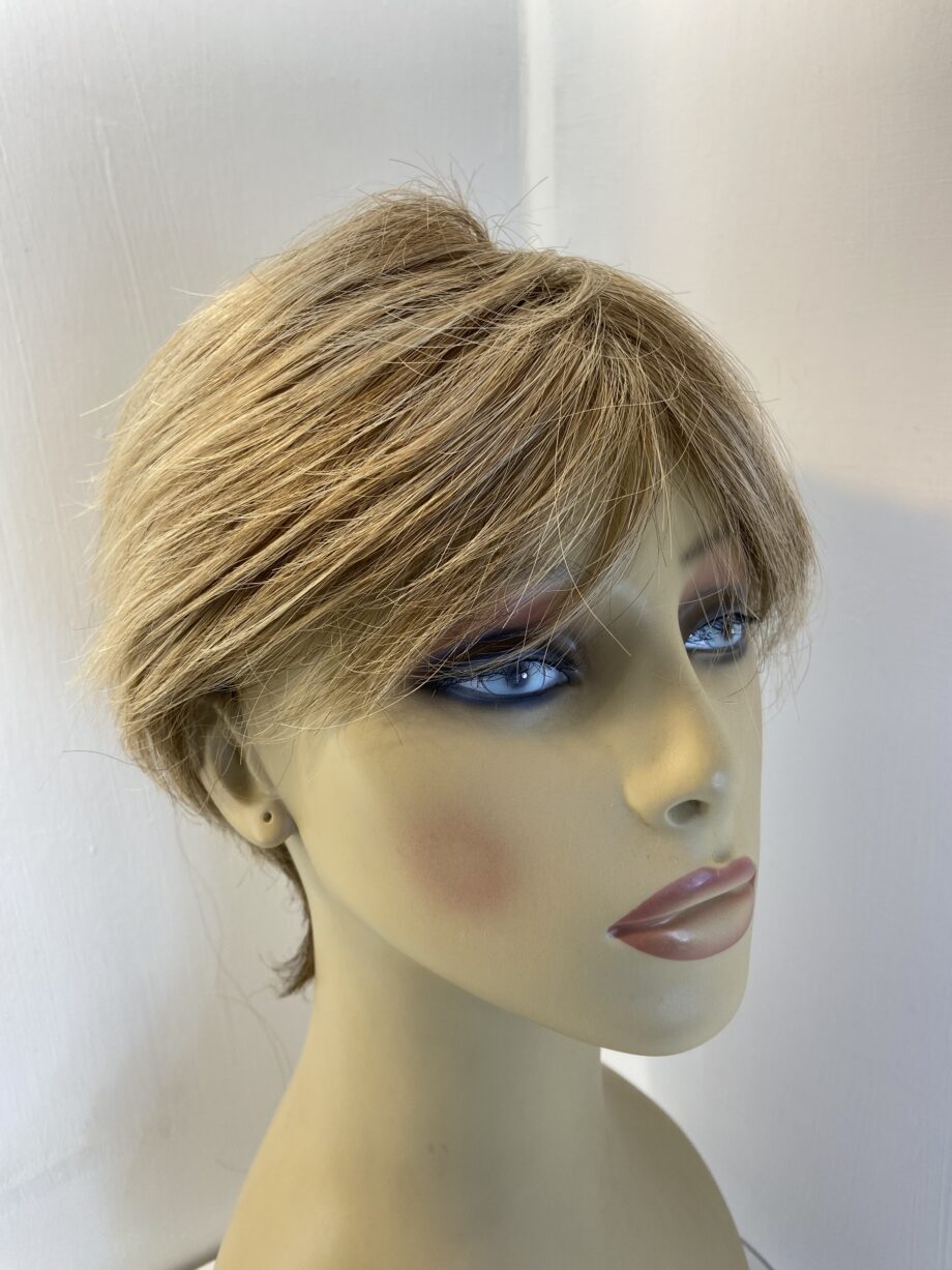 Stylish highlighted light brown /blonde wig   Blss322