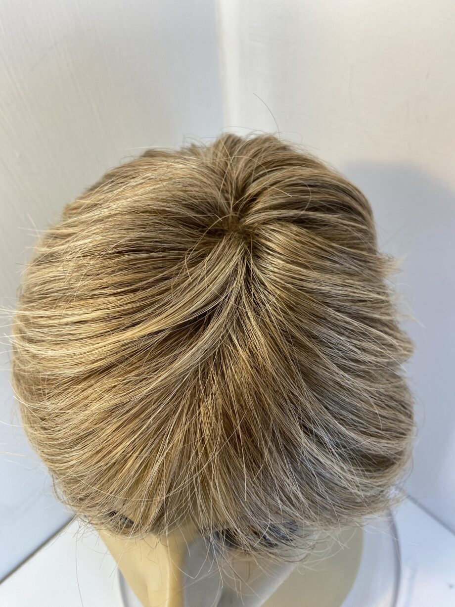 Stylish highlighted light brown /blonde wig   Blss322